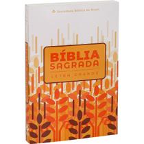 Bíblia Sagrada - ARA - Letra Grande - Capa Flexível Ilustrada