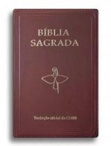 Bíblia sagrada capa com zíper - tradução oficial - EDIÇÕES CNBB BIBLIA