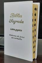 Bíblia Sagrada capa de Couro Branca