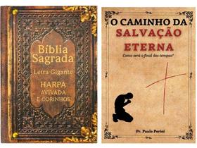 Bíblia Sagrada/ Capa Dura Vintage/ Lt Gigante Arc/ Com Harpa+Livro de Estudo