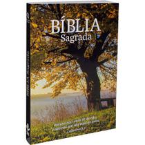 Bíblia Sagrada - Capa Ilustrada Árvore: Nova Almeida Atualizada (naa), De Sociedade Bíblica Do Brasil. Editora Sociedade