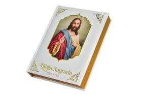 Bíblia Sagrada Católica Com Imagens Edição Luxo, De Traduzida Por Pe. Antônio Pereira De Figueiredo., Vol. 1. Editora Bíblia Sagrada Católica Com Imagens Edição Luxo, De Traduzida Por Pe. Antônio Pereira De Figueiredo., Vol. 1. Editora