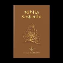 Bíblia sagrada