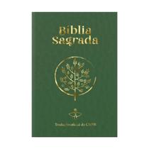 Bíblia sagrada
