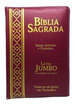 Bíblia Sagrada Com Letra Jumbo Zíper Preta Arabesco Luxo