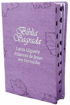 Bíblia Sagrada da Mulher Letra Gigante Capa de Couro Lilás