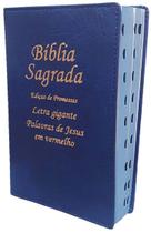 Bíblia Sagrada de Tamanho Grande 21cm e capa de Couro Azul Bíblia Sagrada de Tamanho Grande 21cm e capa de Couro Azul