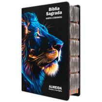 Bíblia Sagrada Evangélica Com Índice Abas Adesivas raio azul
