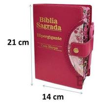 Bíblia Sagrada Evangélica Feminina Masculina Lt hiper gig.. Harpa pink