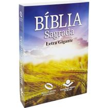 Bíblia Sagrada Evangélica Letra Gigante Linguagem Fácil Capa Brochura Trigo