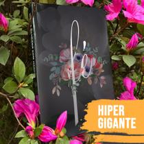 Bíblia Sagrada Fé Feminina Capa Dura com Harpa Letra Hiper Gigantee Índice - HERDEIRODACOROA