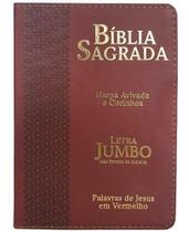 Bíblia Sagrada Feminina/Masculina letra Jumbo c/Harpa Bordô