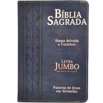 Bíblia Sagrada Feminina/Masculina Letra Jumbo Gigante Harpa RC Azul - CPP