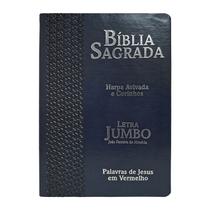 Bíblia Sagrada Feminina/Masculina Letra Jumbo Gigante Harpa RC Azul - CPP