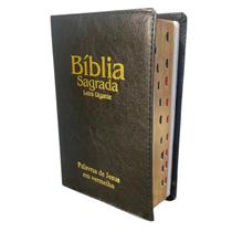 Bíblia Sagrada Letra Gigante ARC Almeida Revista Corrigida Palavras de Jesus em Vermelho Índice PJV