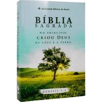Bíblia Sagrada Letra Gigante Brochura Sem índice ARC Bíblia Sagrada Letra Gigante Brochura Sem índice ARC