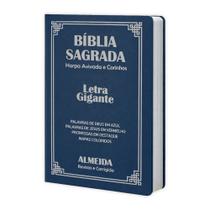 Biblia Sagrada Letra Gigante Luxo Popular - Azul - Com Harpa - RC