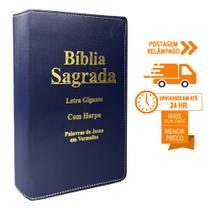 Biblia Sagrada Letra Gigante Luxo Popular - Azul - Com Harpa - RC
