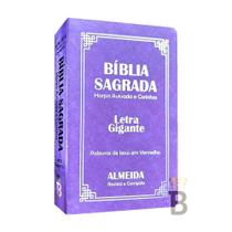 Biblia Sagrada Letra Gigante Luxo Popular Lilas - Com Harpa - Mulher - RC