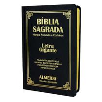 Biblia Sagrada Letra Gigante Luxo Popular - Preta - Com Harpa - RC