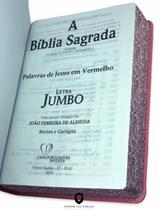 Bíblia Sagrada Letra Jumbo Com Harpa E Corinhos Rosa