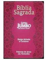 Bíblia Sagrada Letra Jumbo + Harpa Avivada Corinhos - Grande rosa