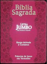 Bíblia Sagrada Letra Jumbo + Harpa Avivada Corinhos - Rosa