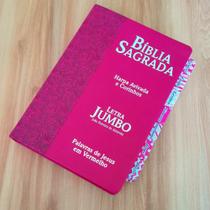 Bíblia Sagrada Letras Jumbo Com abas adesivas coladas arc Harpa pink