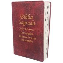 Bíblia Sagrada Linda Jovem do Senhor - Tamanho Médio - Capa Dura Fina e Personalizada e muito mais Bíblia Sagrada Linda Jovem do Senhor - Tamanho Médio - Capa Dura Fina e Personalizada e muito mais