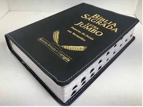Bíblia Sagrada Luxo Lt Jumbo, A Maior Letra Do Mercado, Com Harpa - CPP
