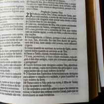 Biblia sagrada moderna colorida jovem leão judá sk