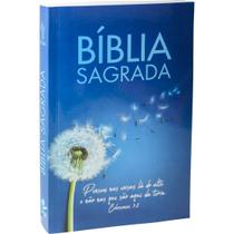 Bíblia Sagrada NTLH ( Capa Brochura)