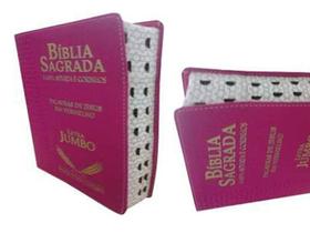 Bíblia Sagrada Pink/ Capa Luxo letra Jumbo/ Harpa e Índice Lateral