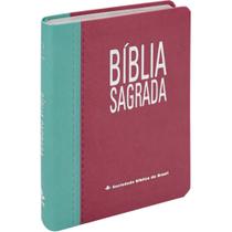 Bíblia Sagrada RA Letra Gigante Índice Turquesa e Pink