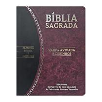 Bíblia Sagrada Slim Grande RC Letra Grande Harpa Avivada e Corinhos Vinho e Preto