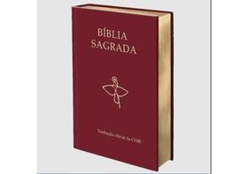 BÍBLIA SAGRADA - TRADUÇÃO OFICIAL DA CNBB - 6ª EDIÇÃO - SEMILUXO