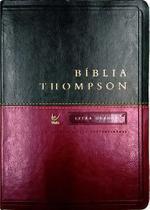 Bíblia Thompson - Grande - Verde e Vinho - Editora Vida