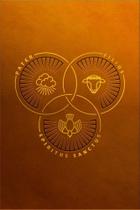 Biblia trindade - marrom - letra grande - heziom Biblia trindade - marrom - letra grande - heziom