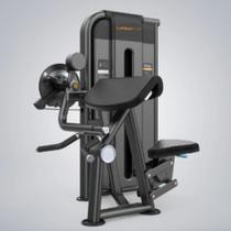 Bíceps e Tríceps Máquina Premium