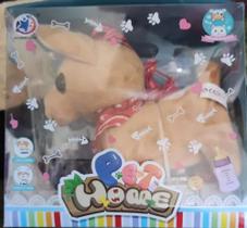 Bichinho Cachorro Interage Pet Home