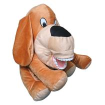 Bicho com macro arcada cachorro