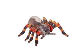 Bicho de pelúcia Wild Republic Living Earth Tarantula 30cm