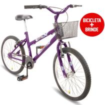 Bicicleta Aro 20 Dks Infantil Menina Criança Mtb Com Cesta C/Rodinha