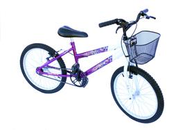 Bicicleta aro 20 fem onix mtb convencional viol