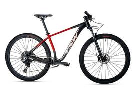 Bicicleta Aro 29 Tsw New Hurry RS-12v Sram-Shimano Freio MT200