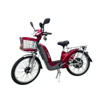 Bicicleta Bike Elétrica Duos 800w Confortável Para Adultos