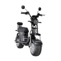 Bicicleta elétrica scooter WX11 sem CNH 2 lugares Bicicleta elétrica scooter WX11 sem CNH 2 lugares