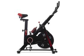 Bicicleta Ergométrica Cicloarte Sports Pro Para Spinning