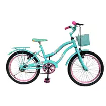Bicicleta Infantil Aro 20 Menina Freio V Brake Aro Aero Lubrificada E Revisada Com Cestinha
