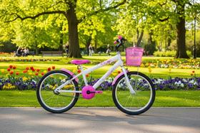 Bicicleta Infantil Menina Aro 20 com acessórios